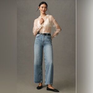 Agolde Ren Jeans - high rise wide leg size 29 color disclosure